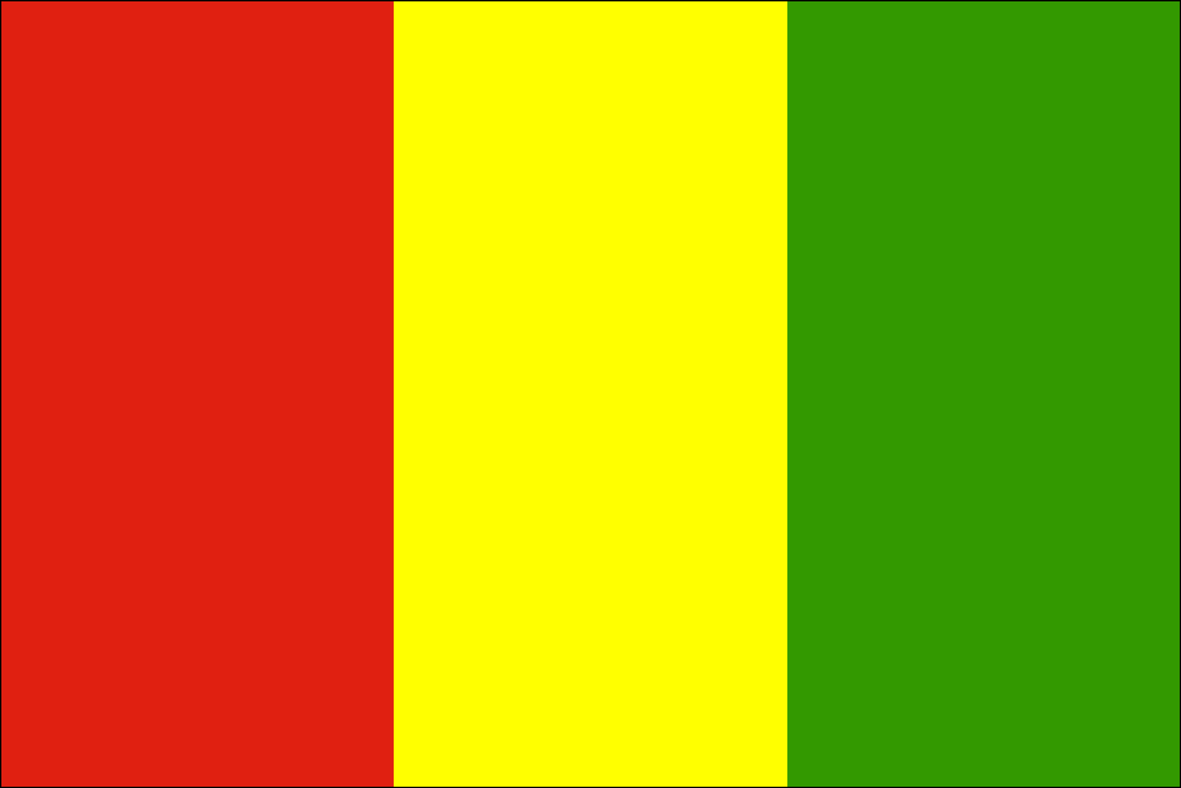 طرح دعوای دولت گینه علیه فرانسه در دیوان بین‌المللی دادگستری